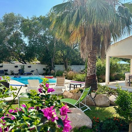 Mini Villa Pascal Paoli Avec Piscine - Proche Mer Prunelli-di-Fiumorbo Exterior photo