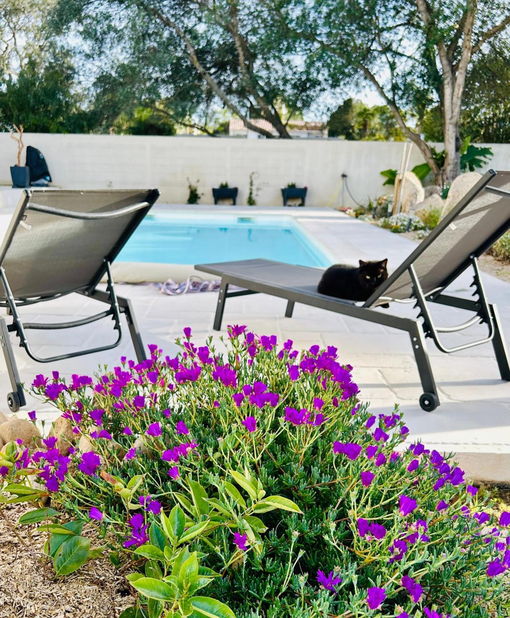 Mini Villa Pascal Paoli Avec Piscine - Proche Mer Prunelli-di-Fiumorbo Exterior photo