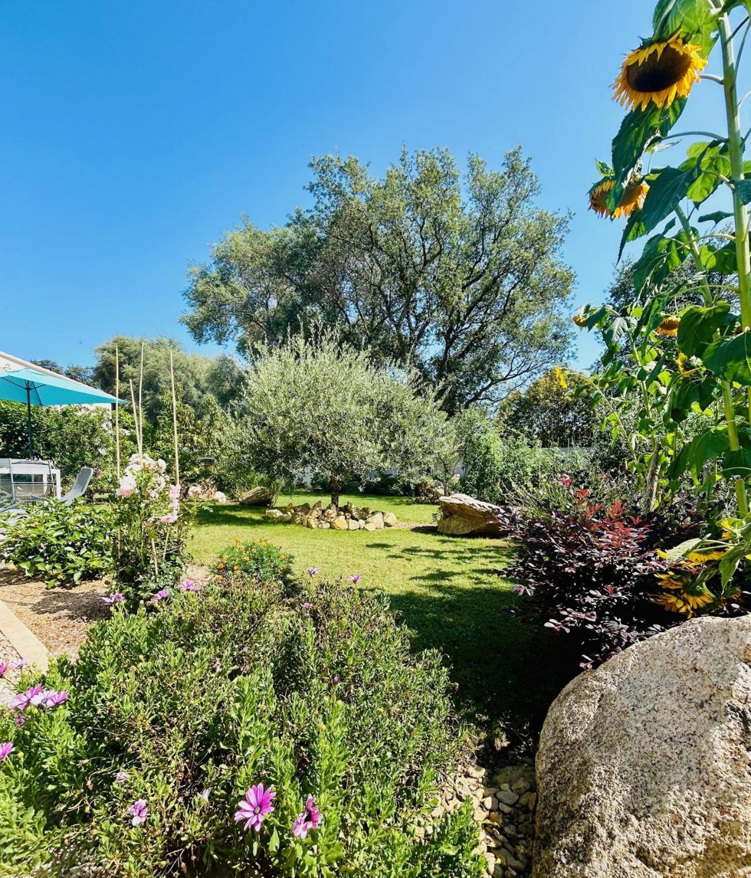 Mini Villa Pascal Paoli Avec Piscine - Proche Mer Prunelli-di-Fiumorbo Exterior photo
